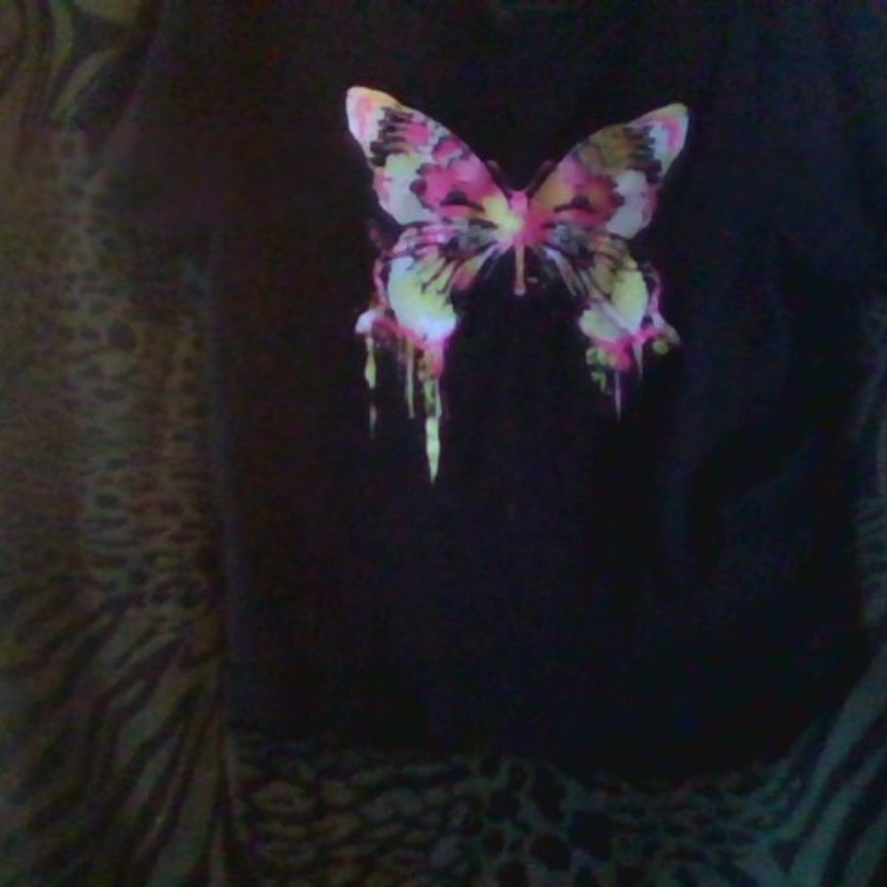 cute butterfly crop top